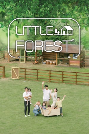 nonton streaming drama Little Forest